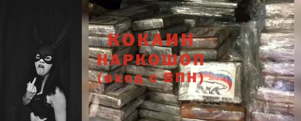 шишки Осташков
