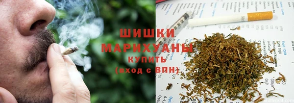 прущие крисы Няндома