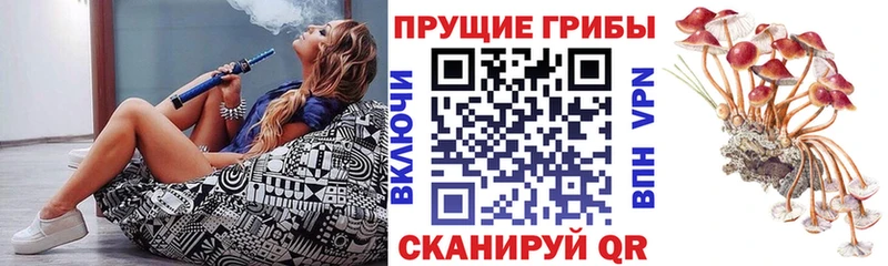 Галлюциногенные грибы ЛСД Шлиссельбург